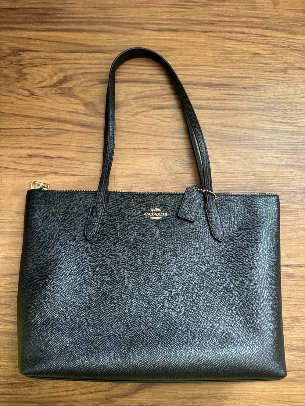 Coach Fiona Zip Tote Bag
